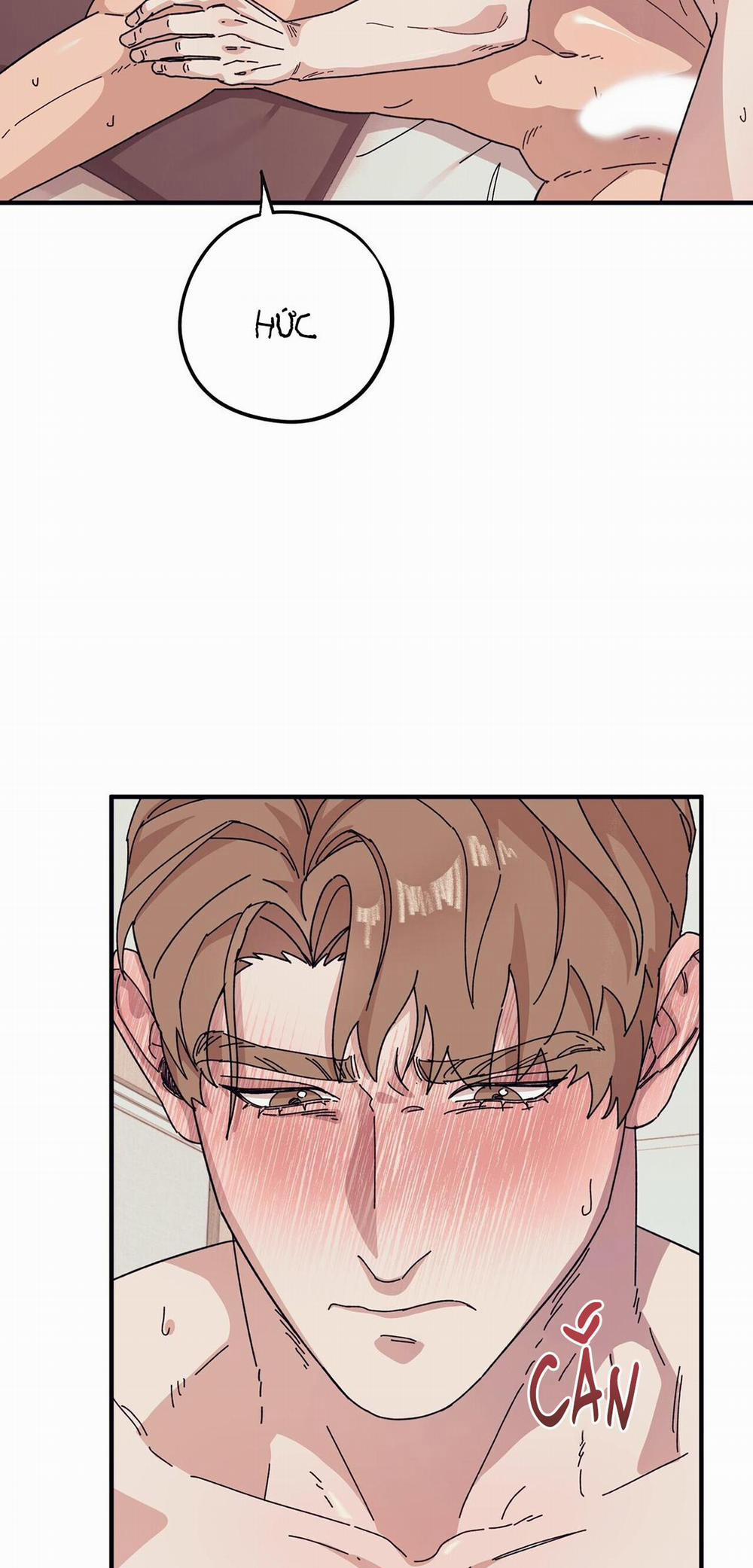 Làm Dâu Nhà Tài Phiệt Họ Kang 45 trang 2