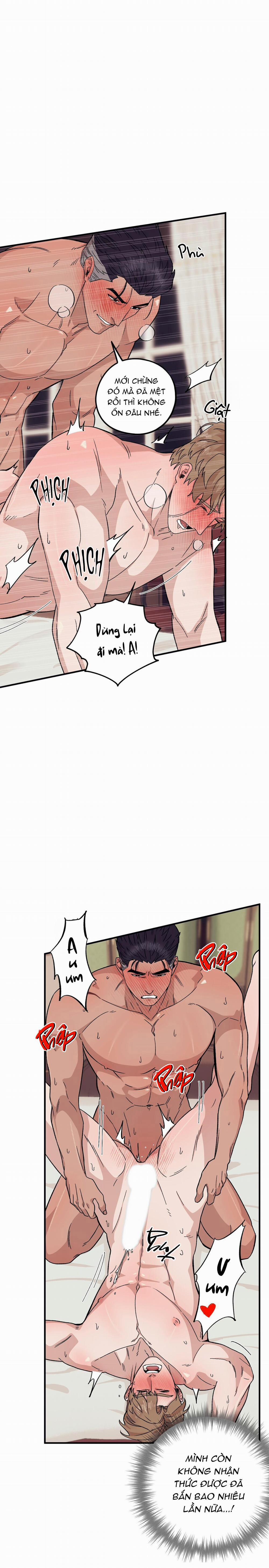 Làm Dâu Nhà Tài Phiệt Họ Kang 51 trang 1