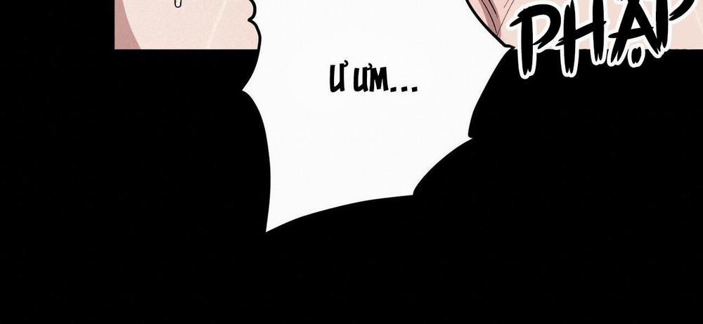 Làm Dâu Nhà Tài Phiệt Họ Kang 58 trang 96