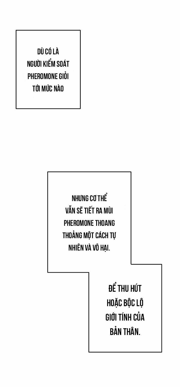 Làm Sao Đây? Tôi Gặp Phải Quest Công Lược Tổng Tài Tra Nam Rồi 2 trang 3