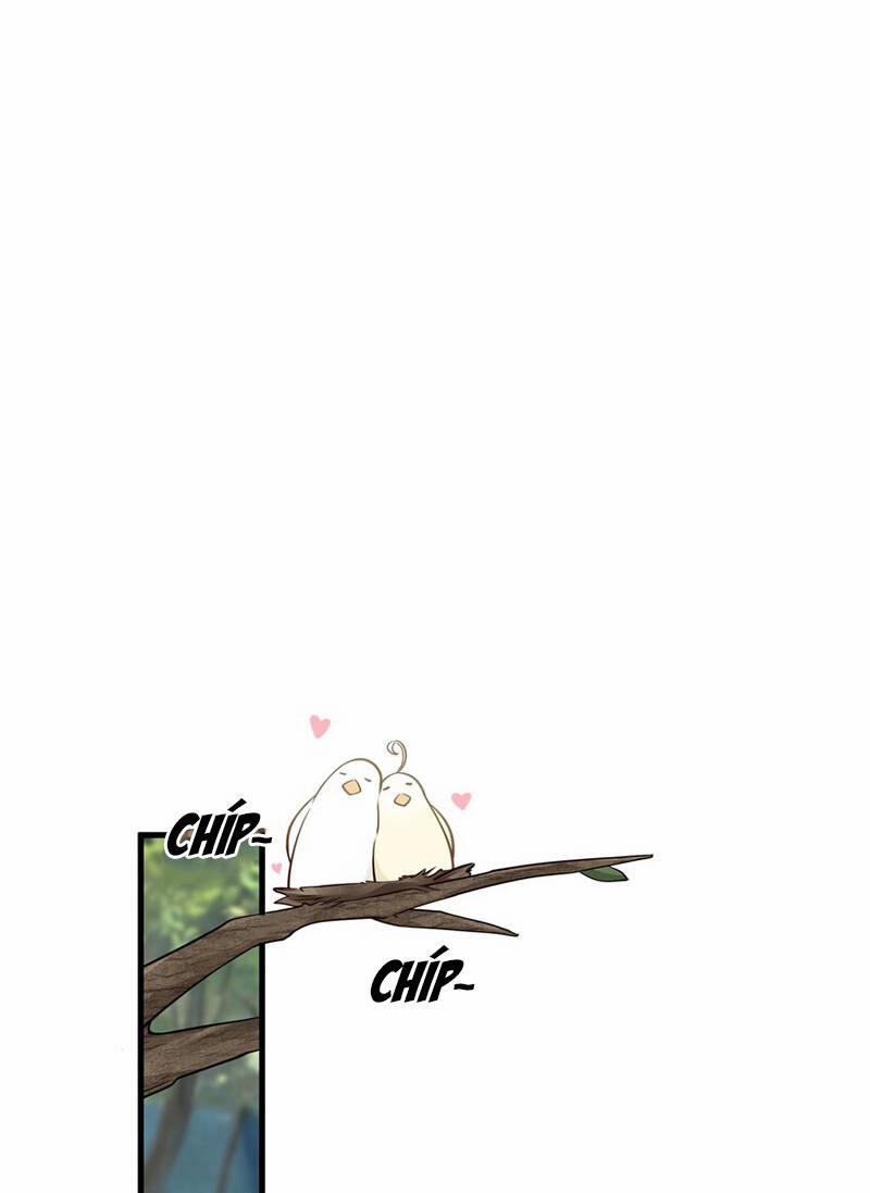 Làm Sao Để Chạy Trốn Dàn Hậu Cung 13 trang 1