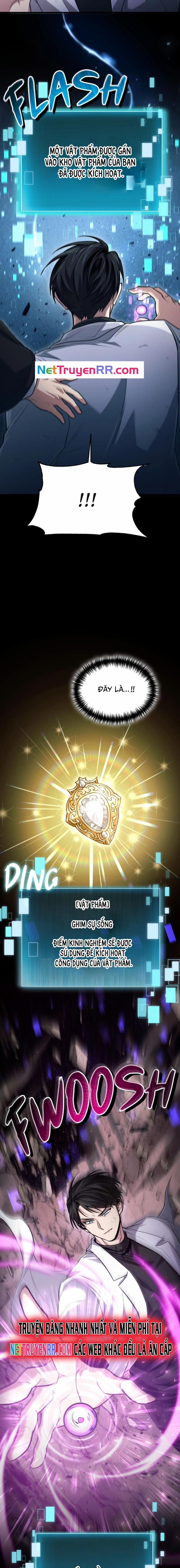 Làm Sao Sống Như Một Trị Liệu Sư Ngầm? 50 trang 8