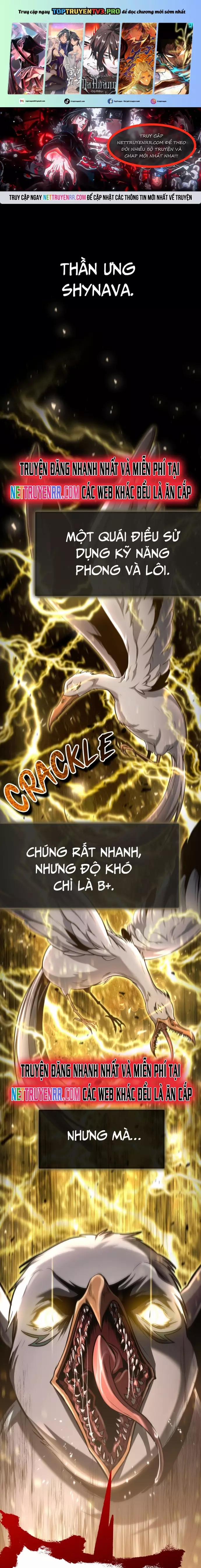 Làm Sao Sống Như Một Trị Liệu Sư Ngầm? 53 trang 0