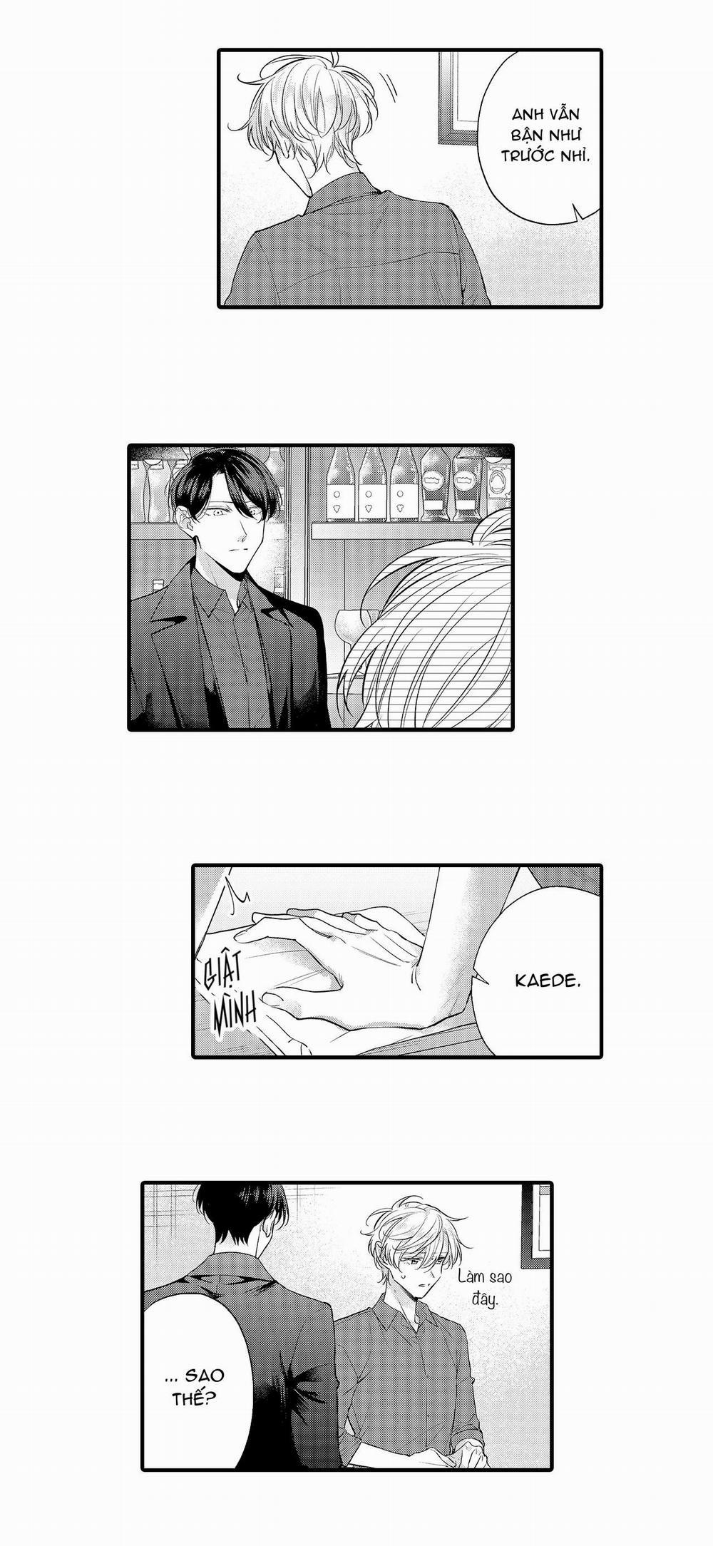 Làm tình với một Yakuza trí thức, yêu và sẽ không bao giờ buông tay! 11 trang 5