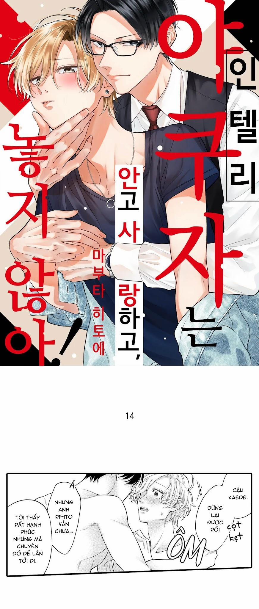 Làm tình với một Yakuza trí thức, yêu và sẽ không bao giờ buông tay! 14 trang 0