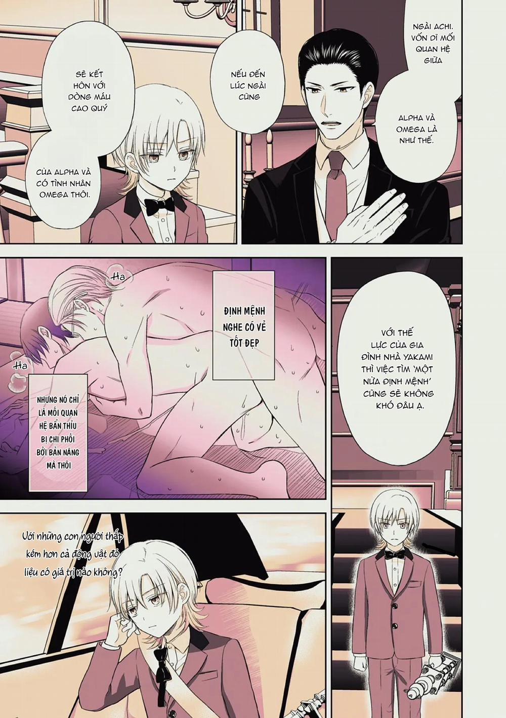 Làm tình với phục vụ là Omega 4 trang 6