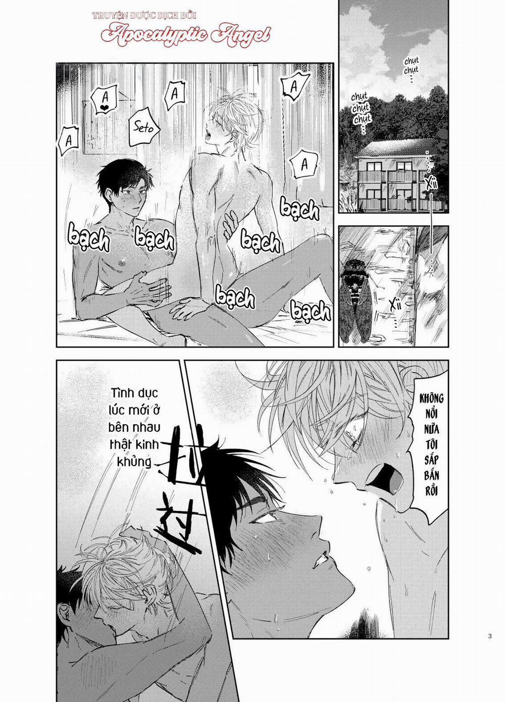 Làn Da Ửng Đỏ Của Cậu Khiến Tôi Bối Rối 6.6 trang 2