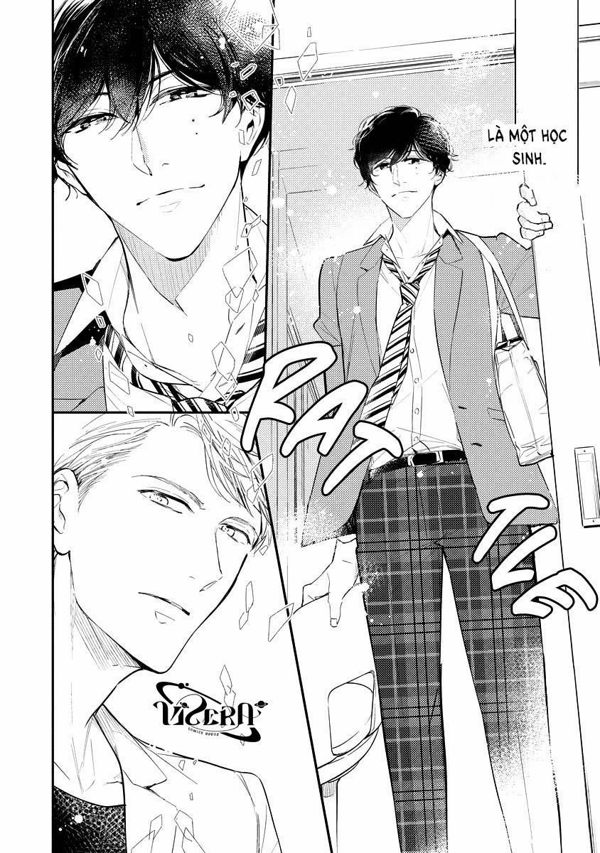 Lần Đầu Cúc Được Nở Hoa Sau 8 Năm 2 trang 9