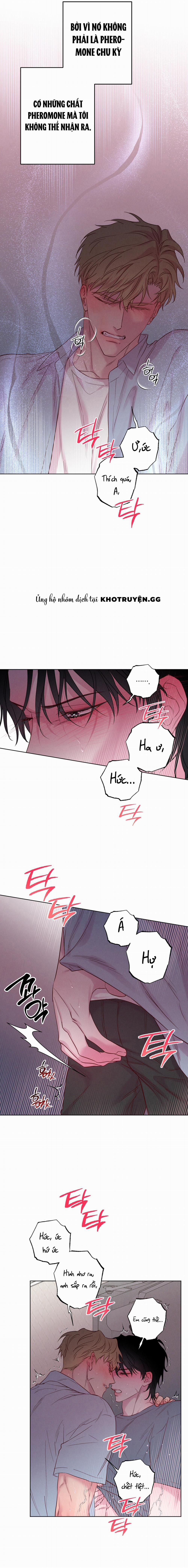 Làn Sóng Bên Bờ Biển 17 trang 12