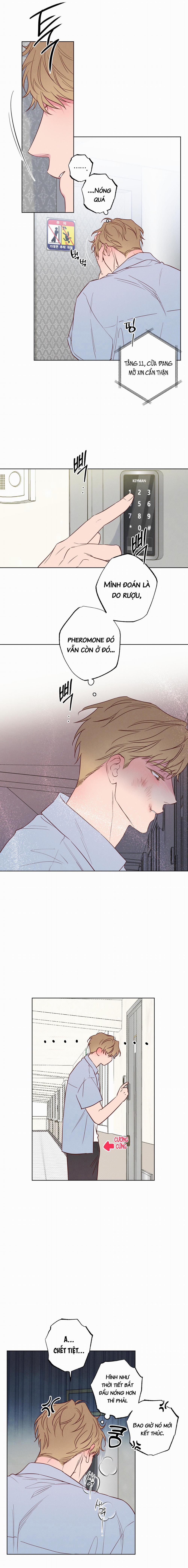 Làn Sóng Bên Bờ Biển 17 trang 5