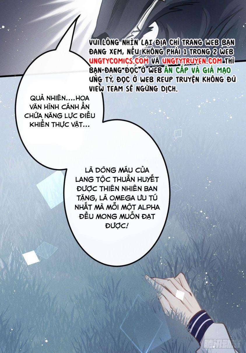 Lang Lang Thượng Khẩu 13 trang 20