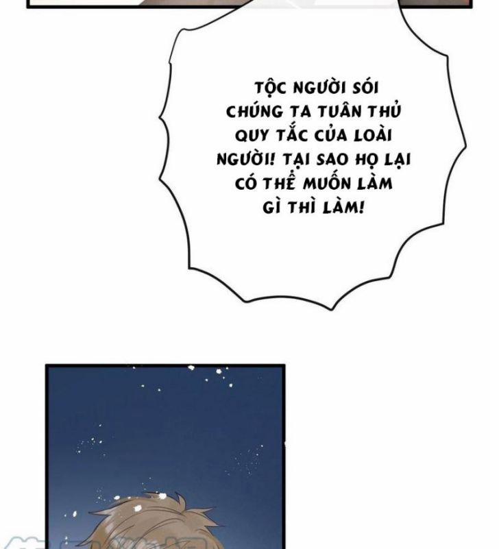 Lang Lang Thượng Khẩu 31 trang 39