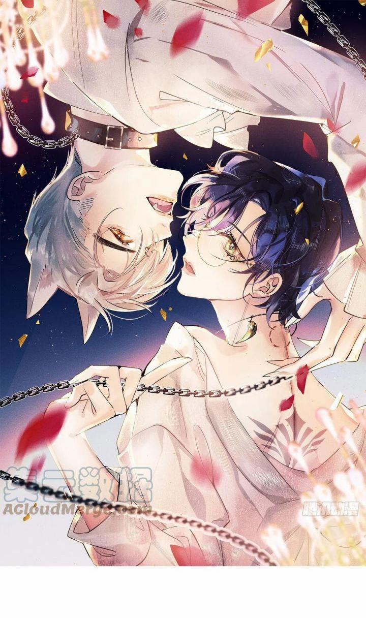 Lang Lang Thượng Khẩu 33 trang 1