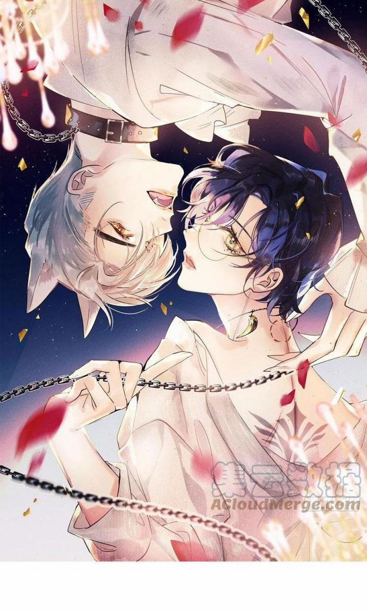 Lang Lang Thượng Khẩu 37 trang 1