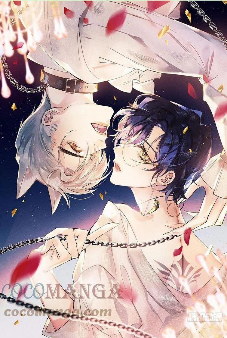 Lang Lang Thượng Khẩu 38 trang 0