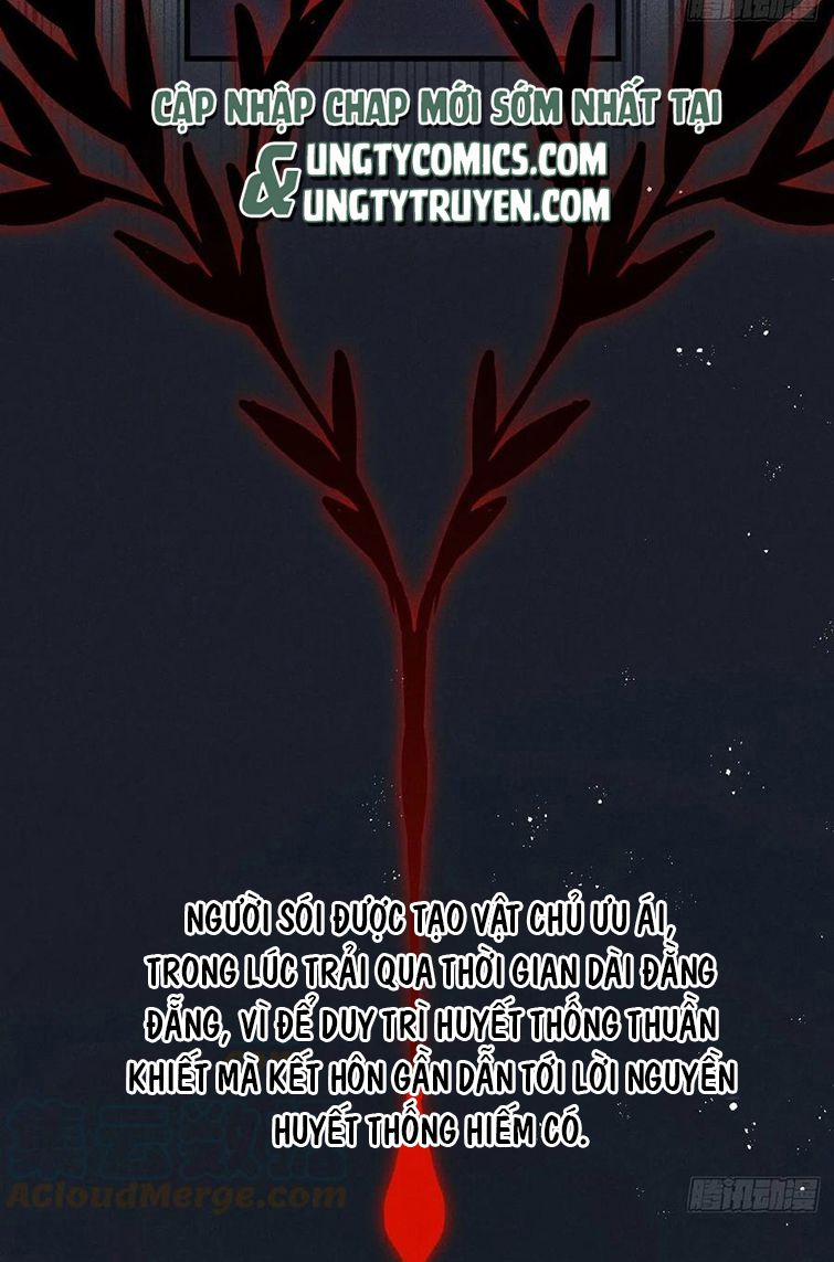 Lang Lang Thượng Khẩu 39 trang 3