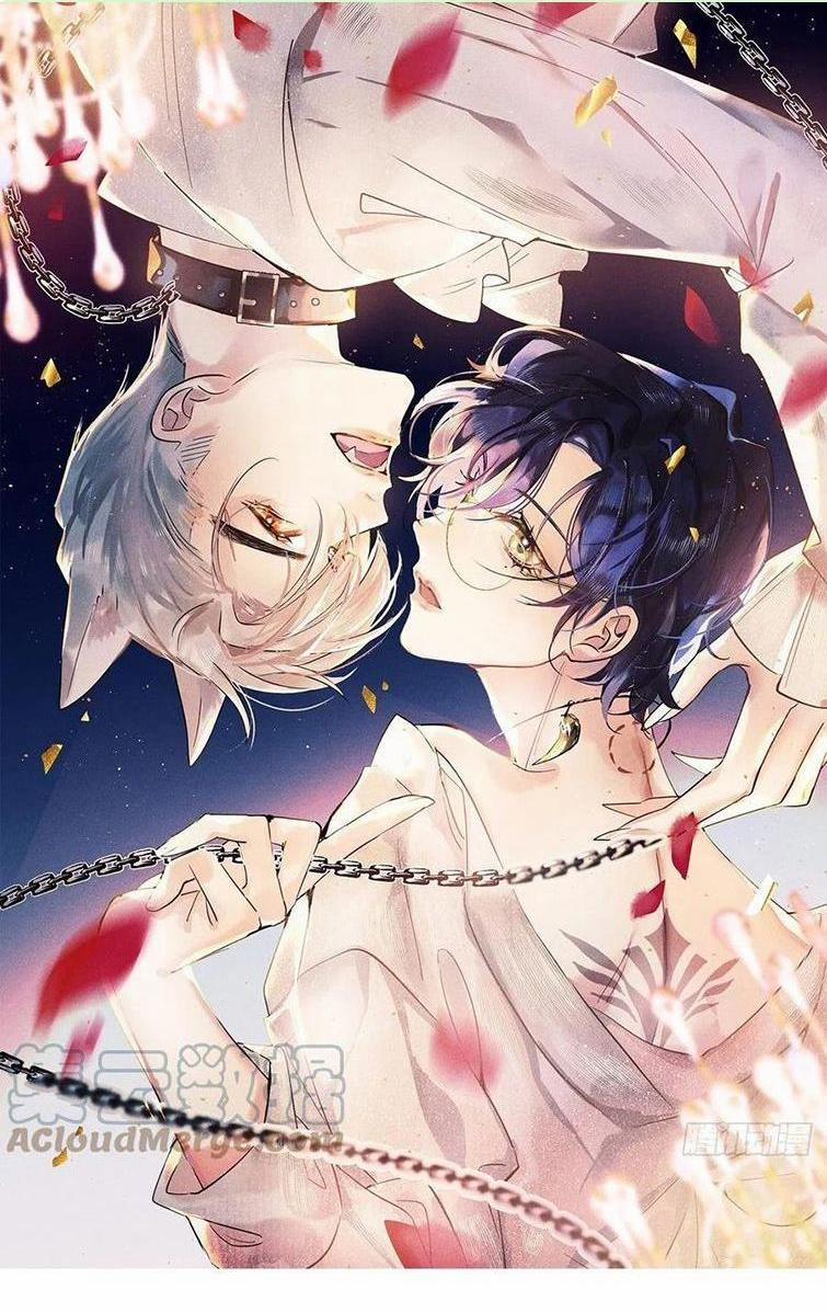 Lang Lang Thượng Khẩu 40 trang 0