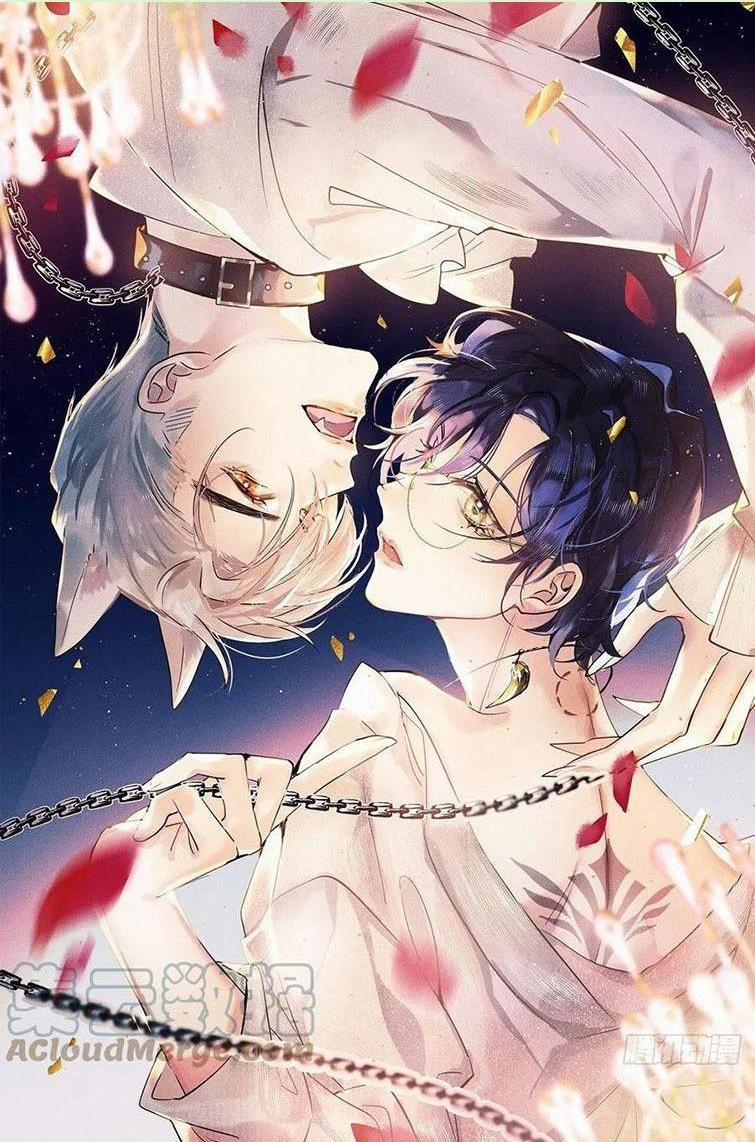 Lang Lang Thượng Khẩu 43 trang 0