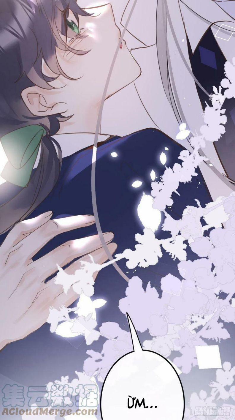 Lang Lang Thượng Khẩu 45 trang 19