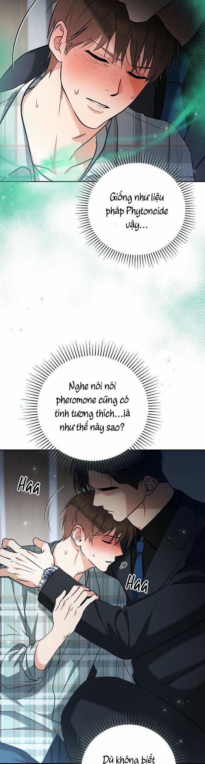 LÃNG MẠN HAY LÃNG XẸT 1 PHÂN HÓA OMEGA LẶN trang 70