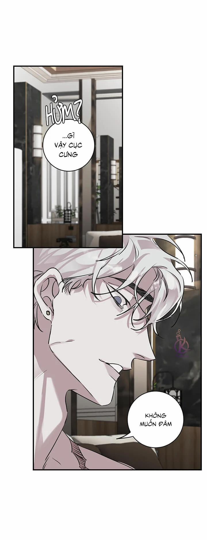 Lãng Mạn Một Chiều 11 trang 13