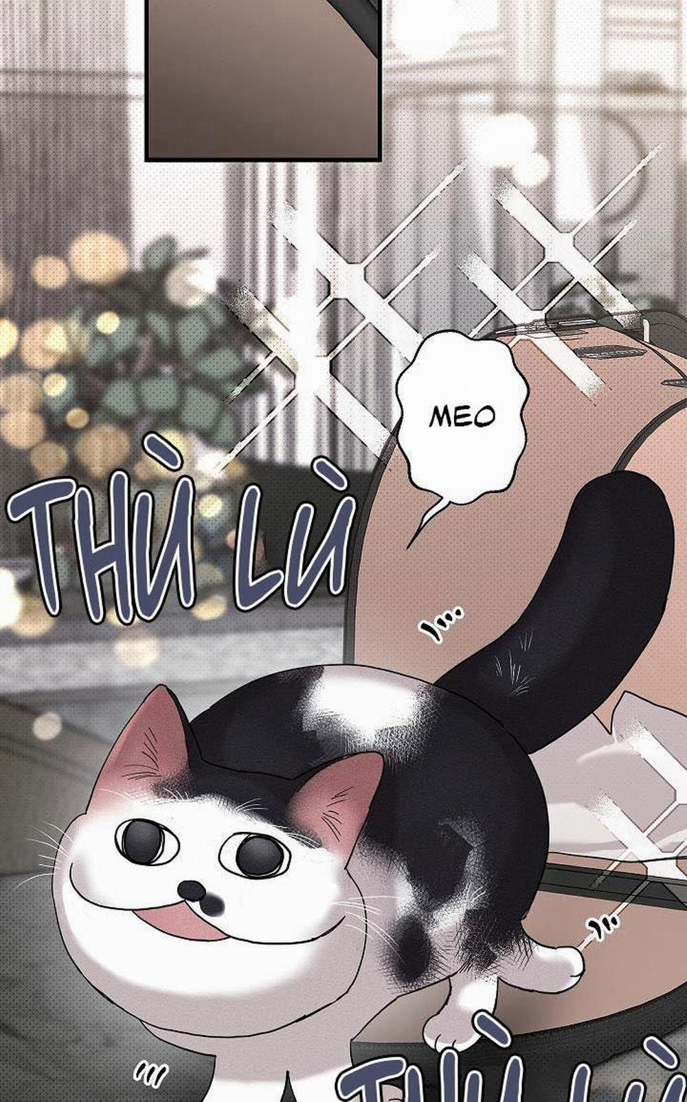 Lãng Mạn Một Chiều 13 trang 41