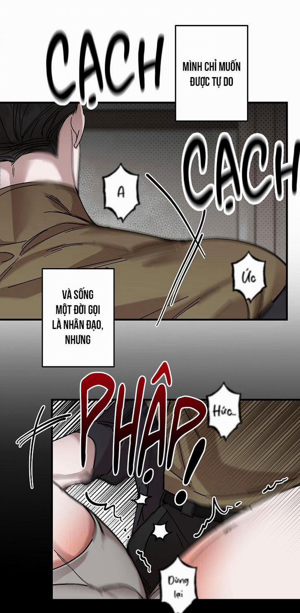 Lãng Mạn Một Chiều 15 trang 47