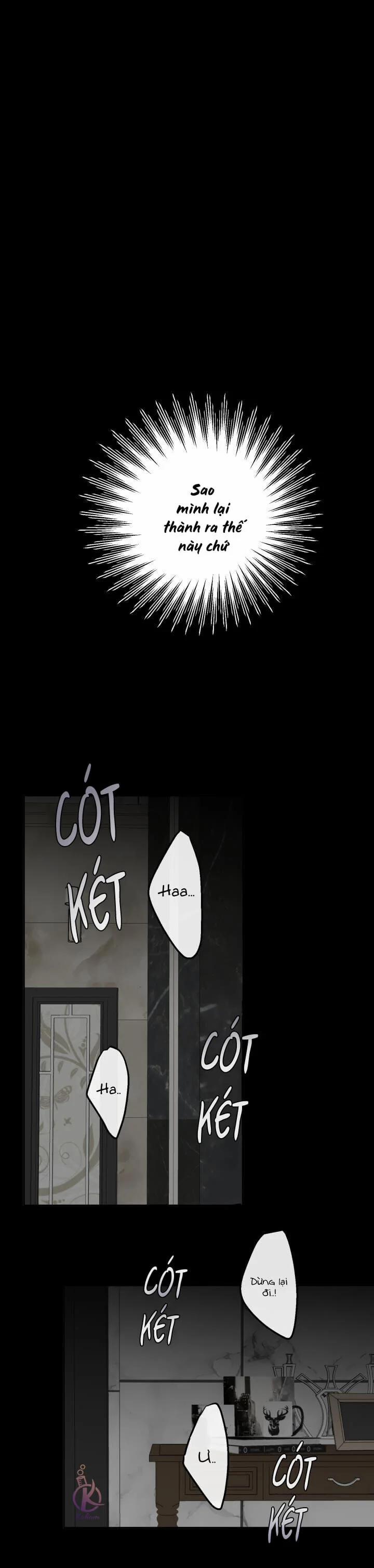 Lãng Mạn Một Chiều 4 trang 0