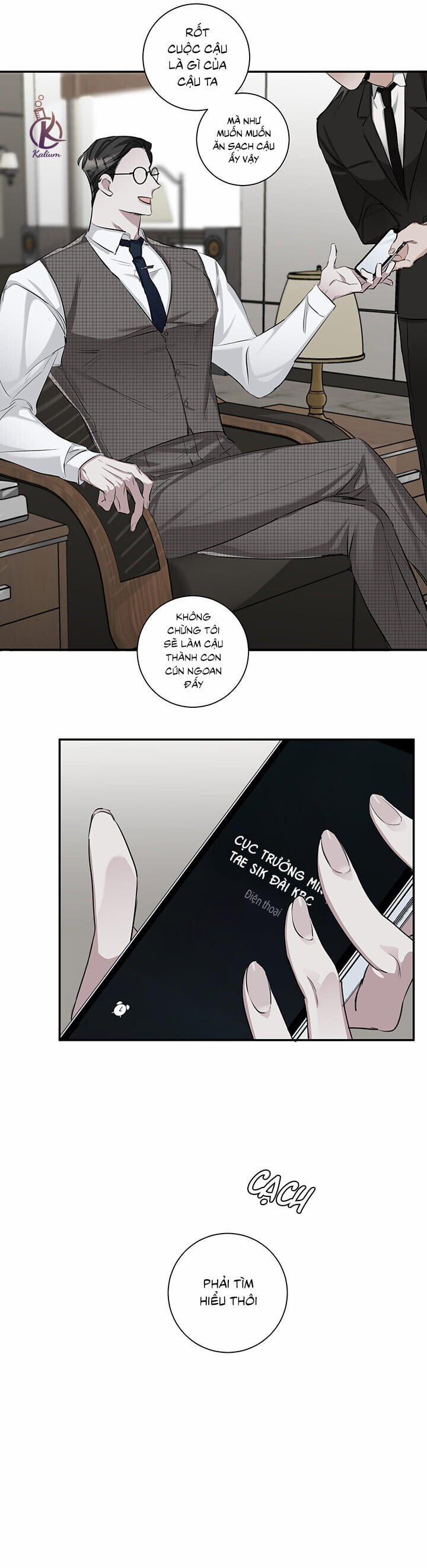 Lãng Mạn Một Chiều 8 trang 13