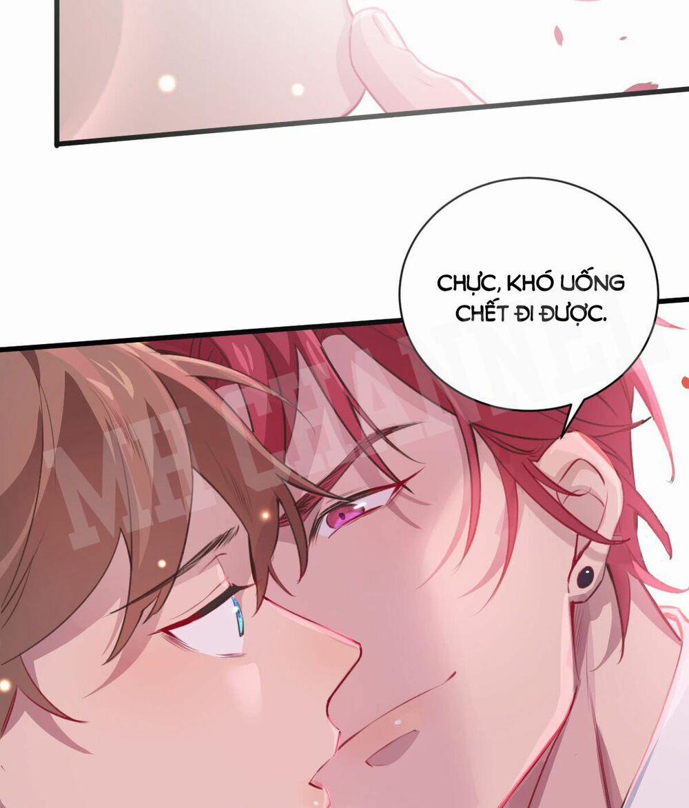 Lang Quân, Xin Đừng…! 16 trang 18