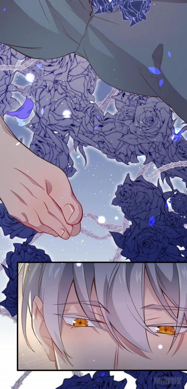 Lang Quân, Xin Đừng…! 2 trang 25