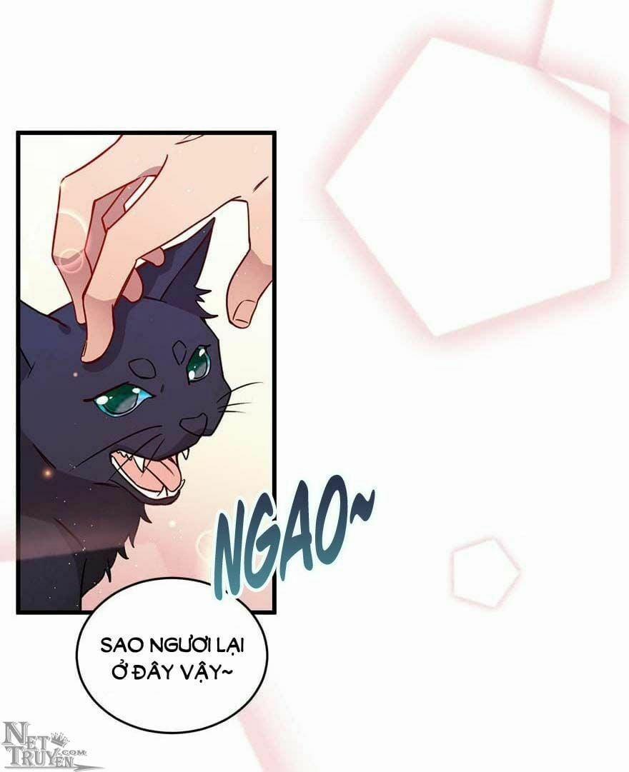 Lang Quân, Xin Đừng…! 46 trang 2