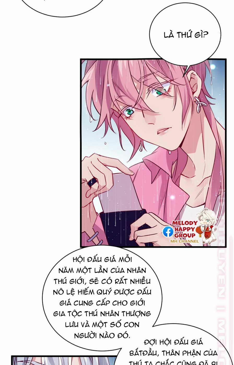 Lang Quân, Xin Đừng…! 58 trang 14