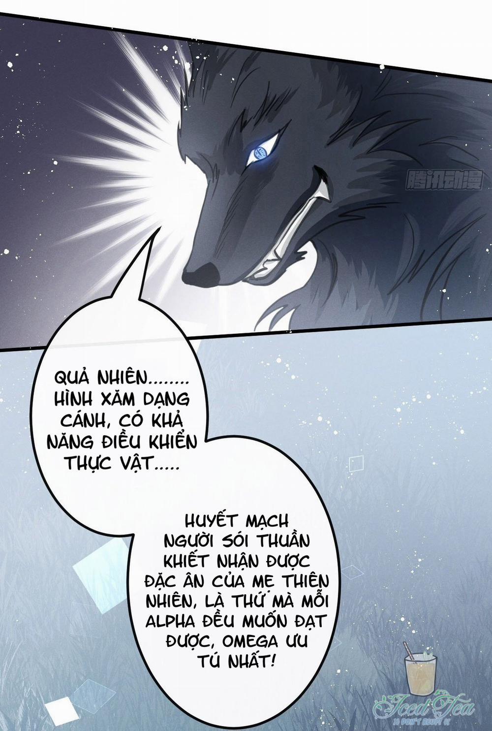 Lang Sói Thượng Khẩu 13.1 trang 14