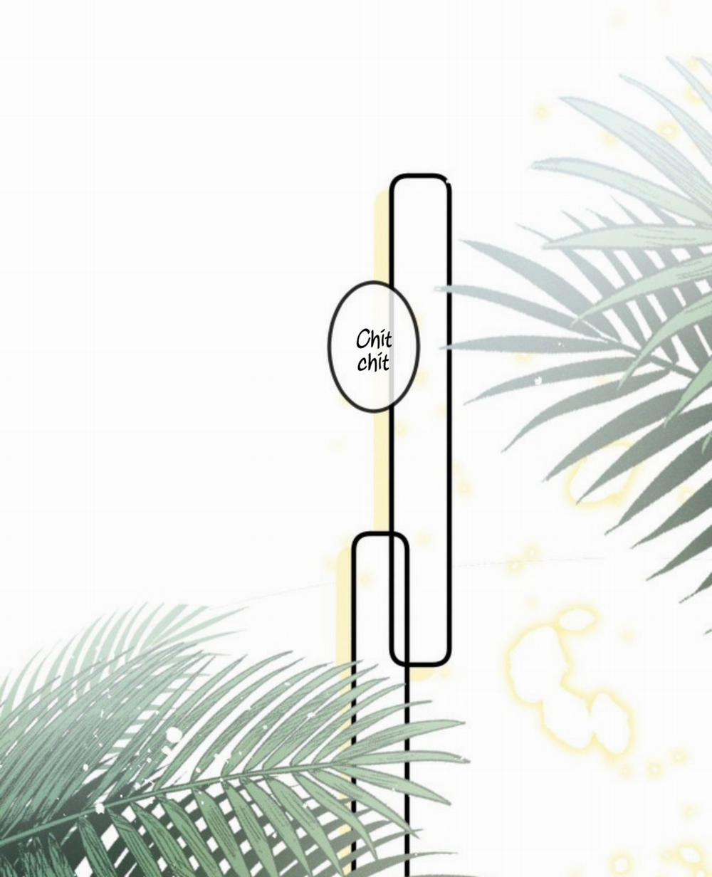 Lang Sói Thượng Khẩu 15 trang 0