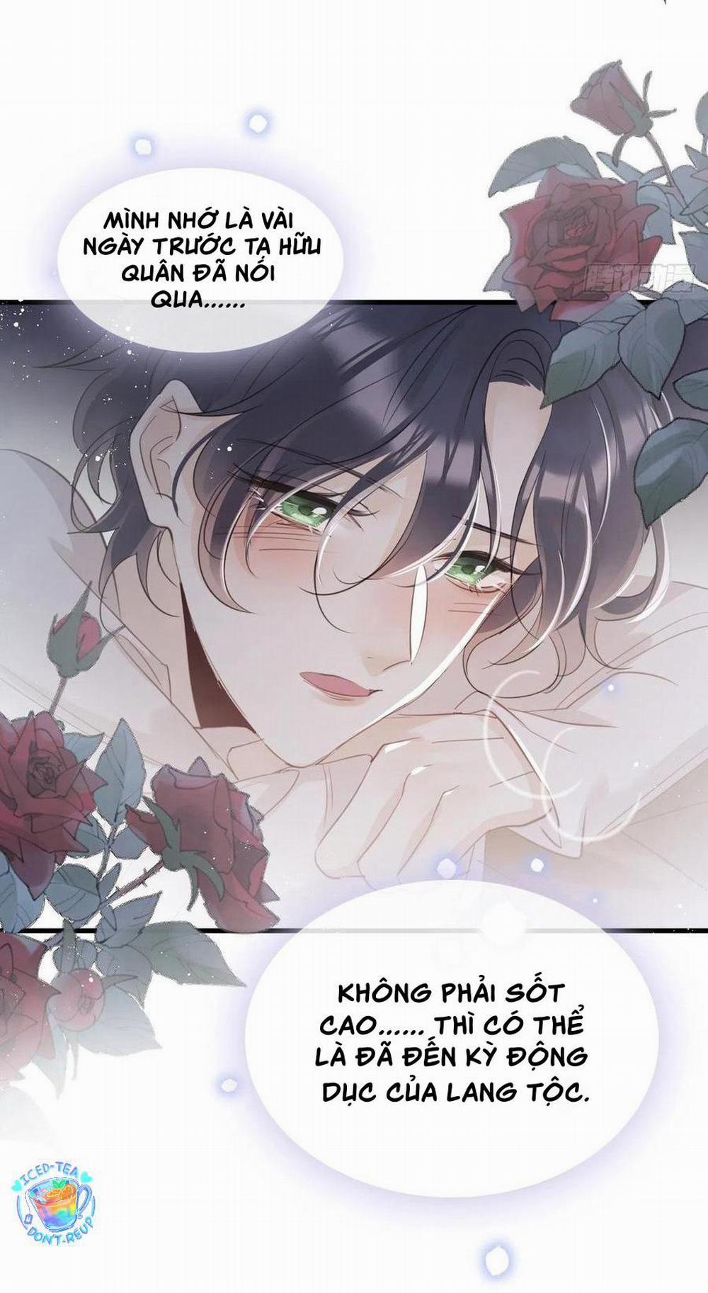 Lang Sói Thượng Khẩu 26 trang 2