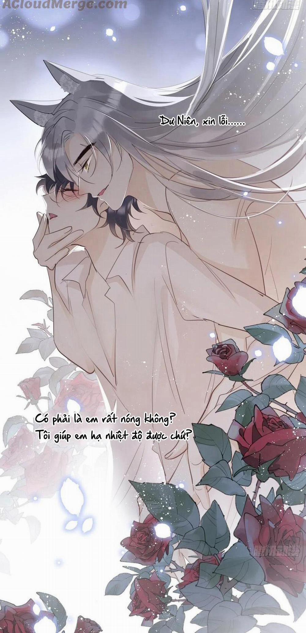 Lang Sói Thượng Khẩu 26 trang 5