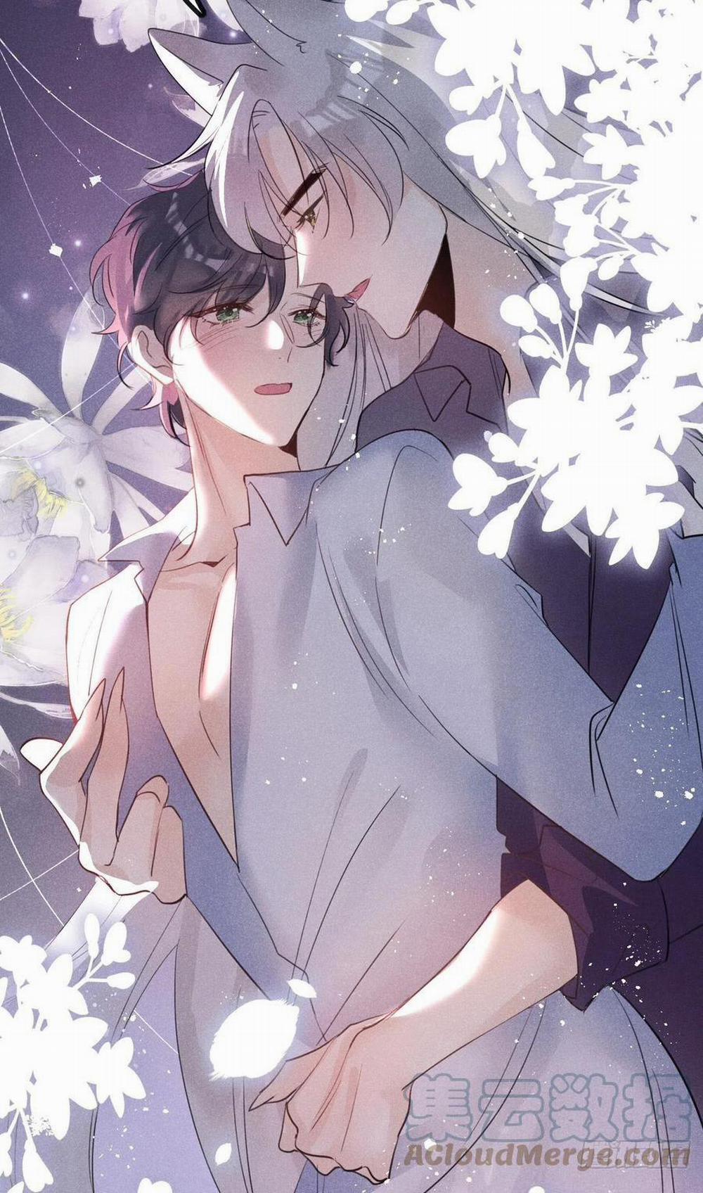 Lang Sói Thượng Khẩu 28 trang 41