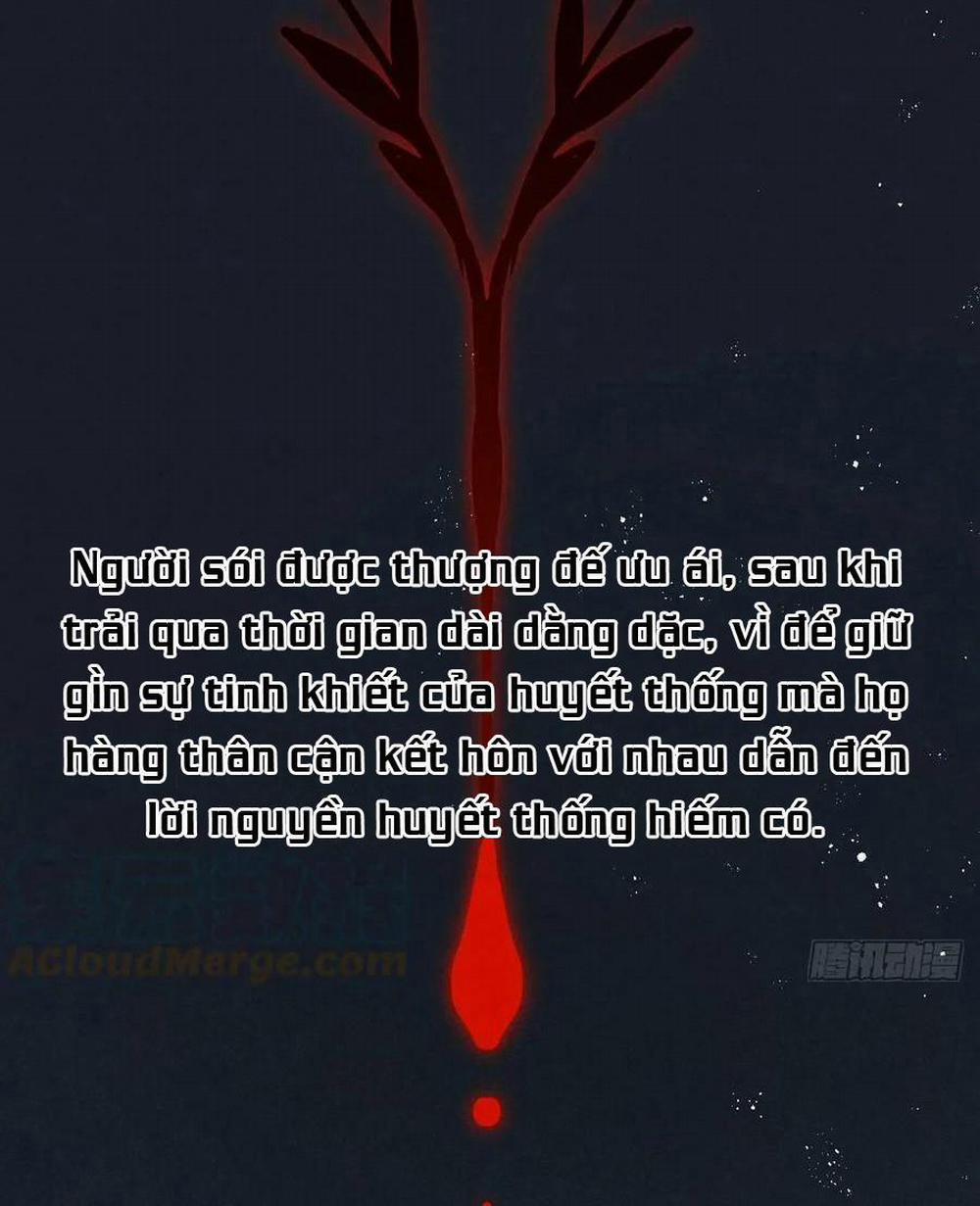 Lang Sói Thượng Khẩu 40 trang 1