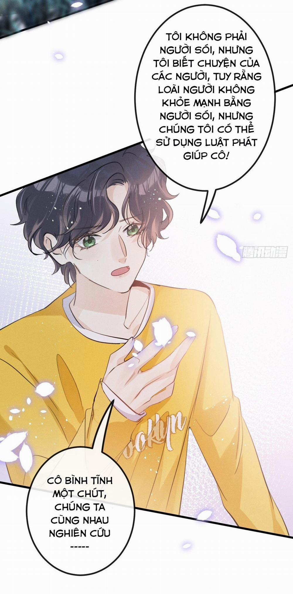 Lang Sói Thượng Khẩu 41 trang 20