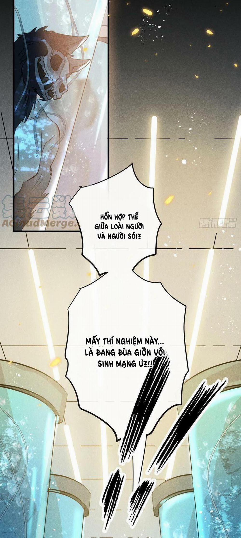 Lang Sói Thượng Khẩu 50 trang 36