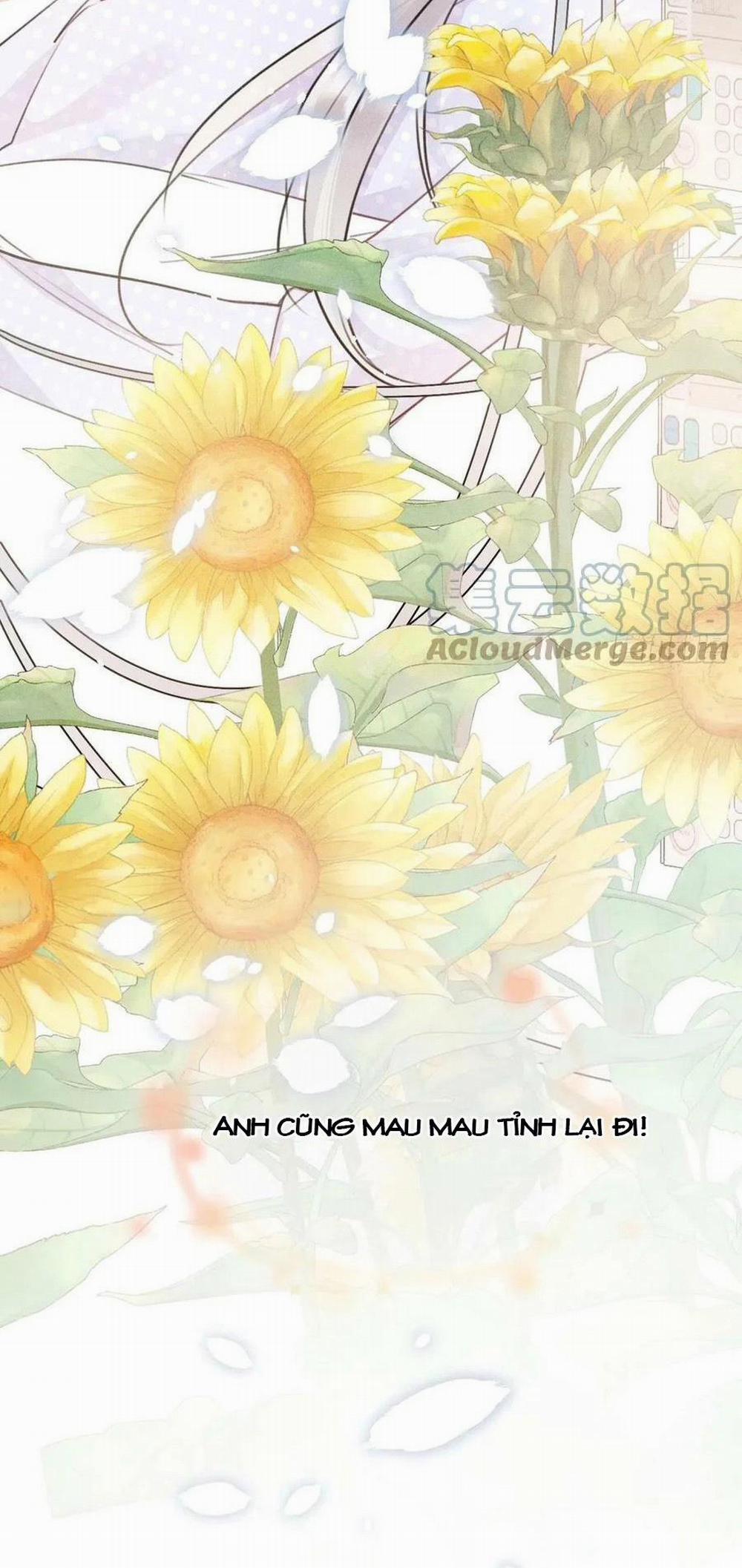 Lang Sói Thượng Khẩu 57 trang 51