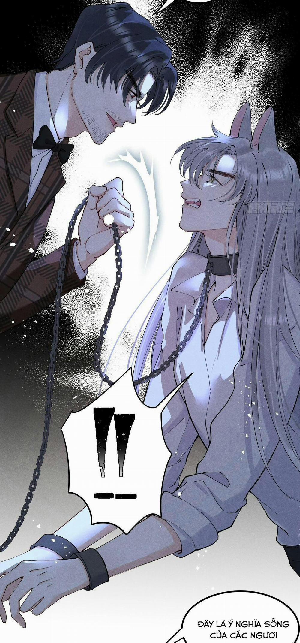 Lang Sói Thượng Khẩu 80 trang 48