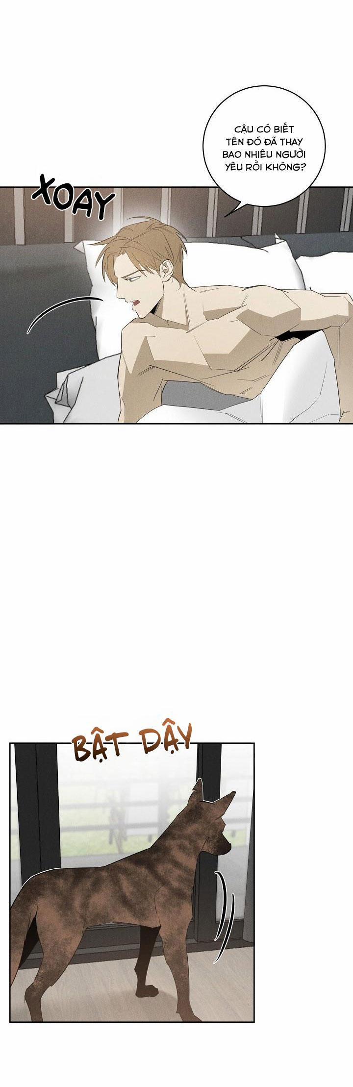 LANG THANG (WANDER OFF) 10 trang 2