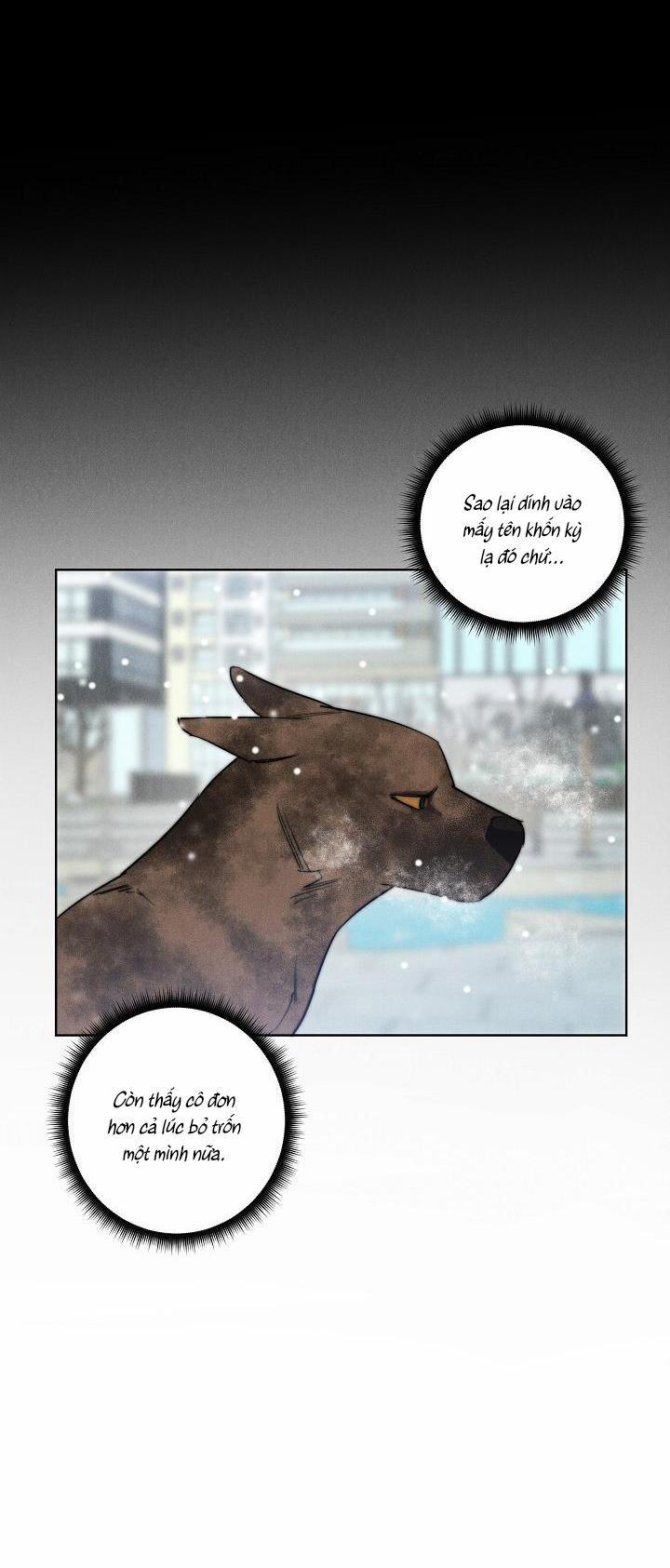 LANG THANG (WANDER OFF) 11 trang 16