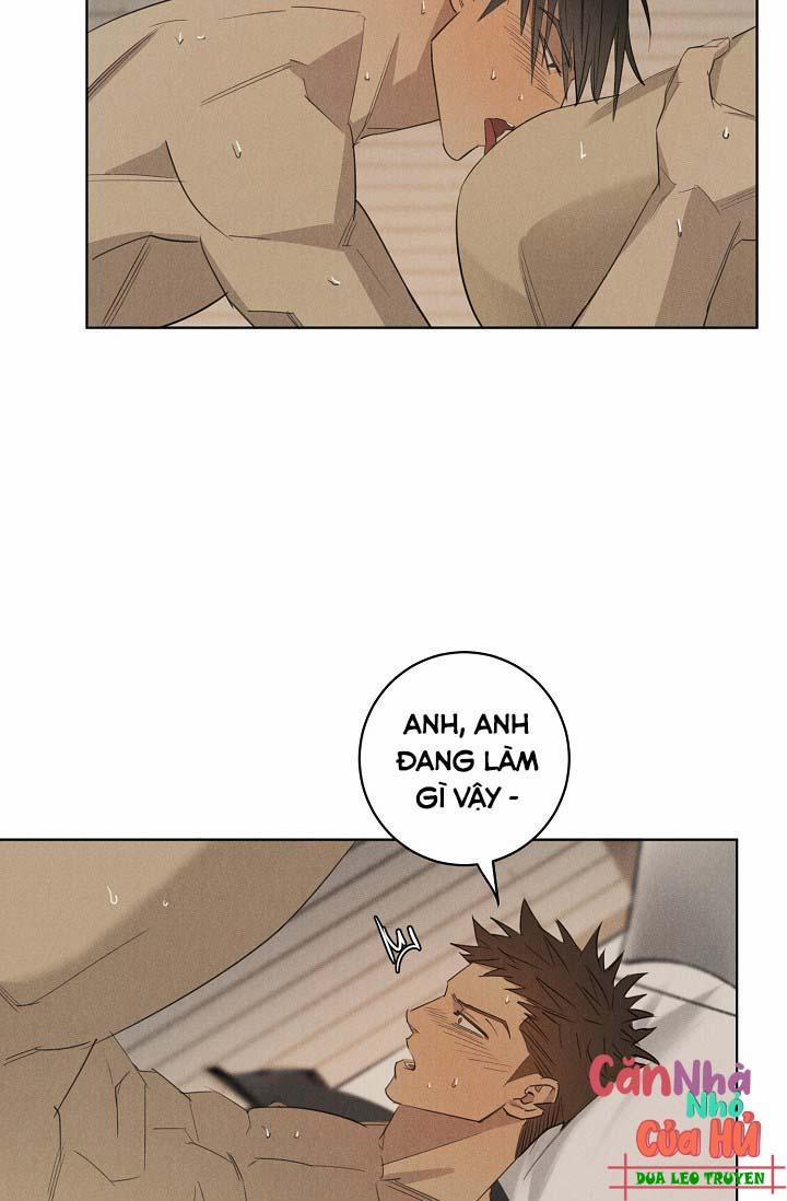 LANG THANG (WANDER OFF) 12 ngang raw trang 3