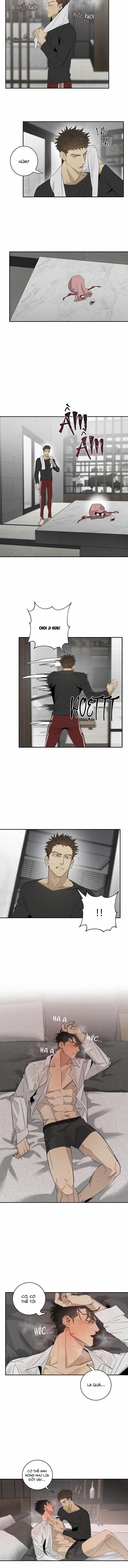 LANG THANG (WANDER OFF) 13.1 trang 4