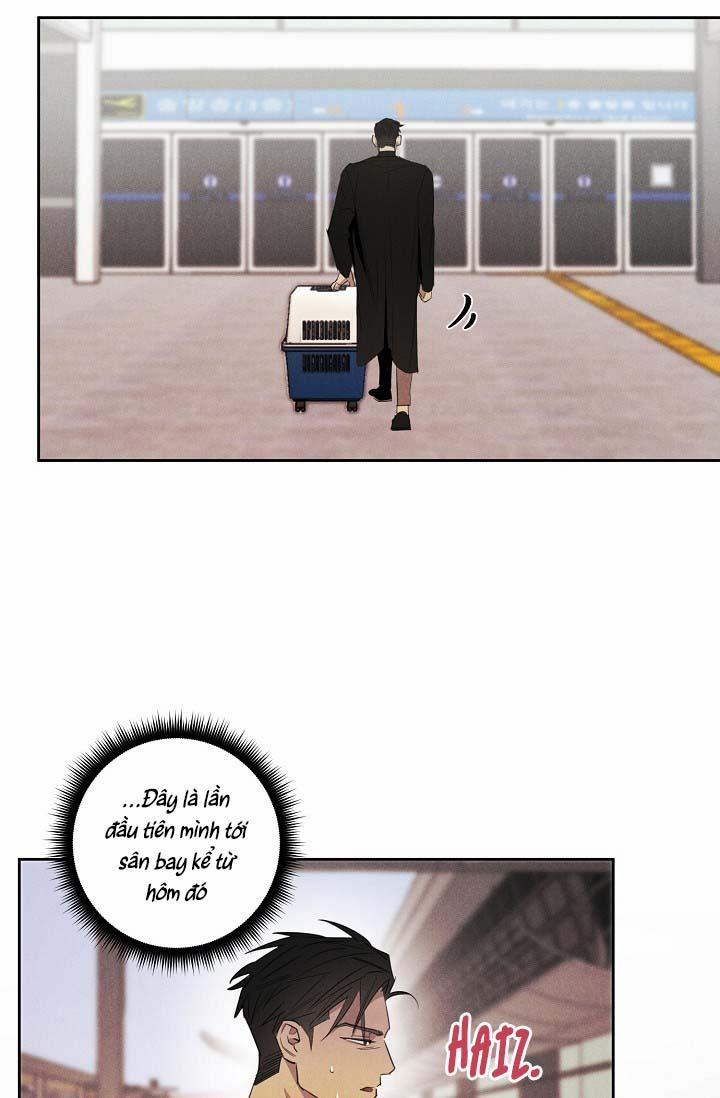 LANG THANG (WANDER OFF) 13 trang 17