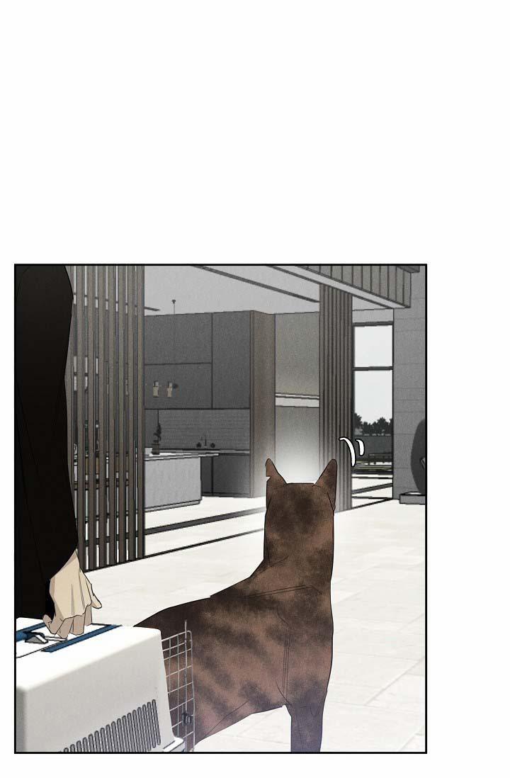 LANG THANG (WANDER OFF) 13 trang 44