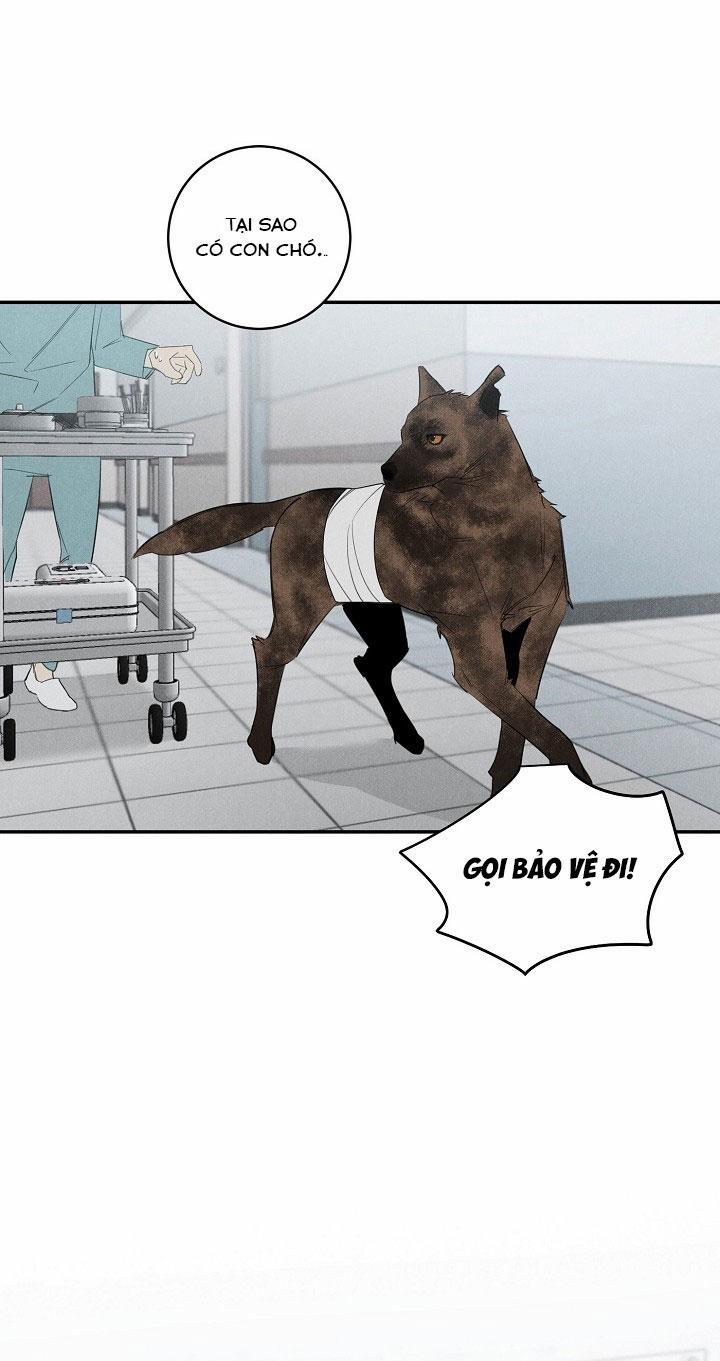 LANG THANG (WANDER OFF) 2 trang 12